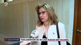 Parlamentarii nu se lasă plecați din vacanță